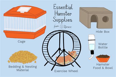 ham ster.com|How to Care for Your Pet Hamster .